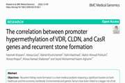 The correlation between promoter hypermethylation of VDR, CLDN, and CasR genes and recurrent stone formation